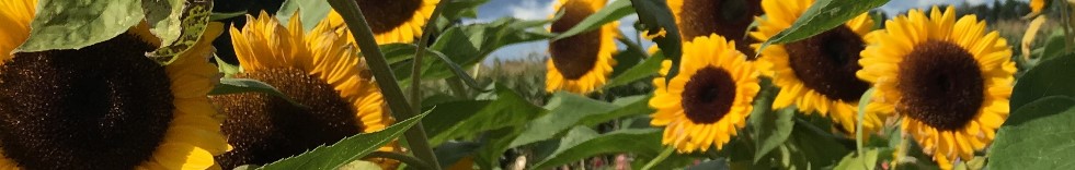 ❔: Was bedeutet Zeitverlust? (Antworten: 5)